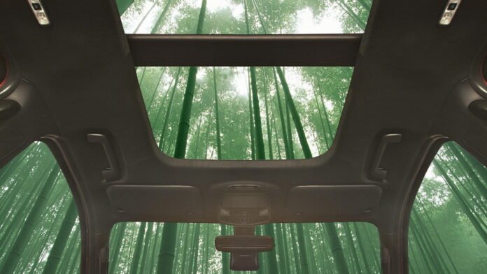 Bamboo Forest
