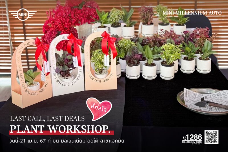 มิลเลนเนียม ออโต้ 8