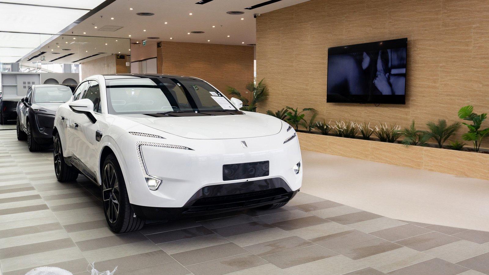 อีเทอนิตี้ แอทวัน 5