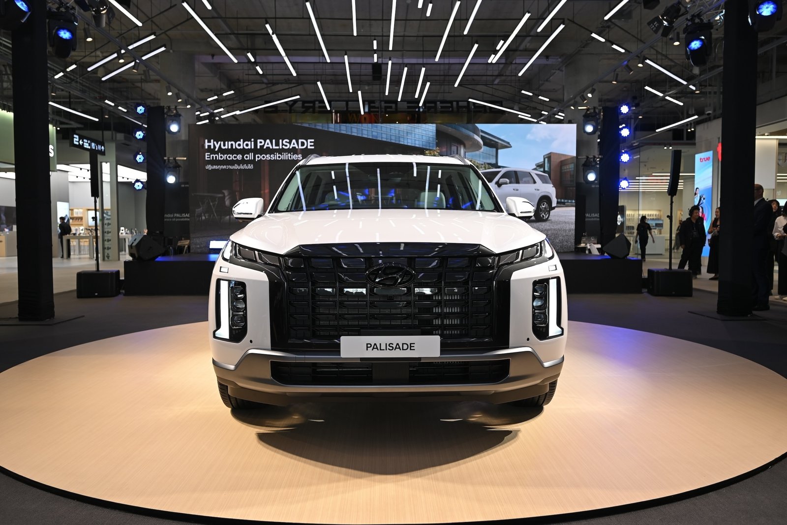 Hyundai PALISADE 10