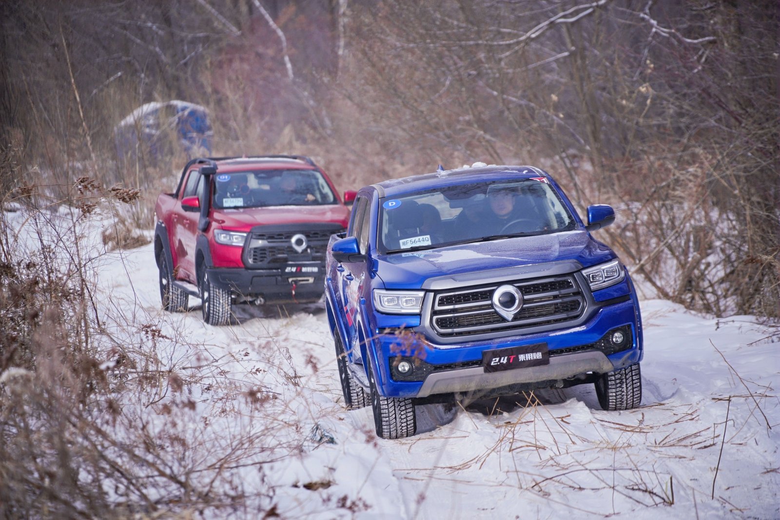 เกรท วอลล์ มอเตอร์ 7