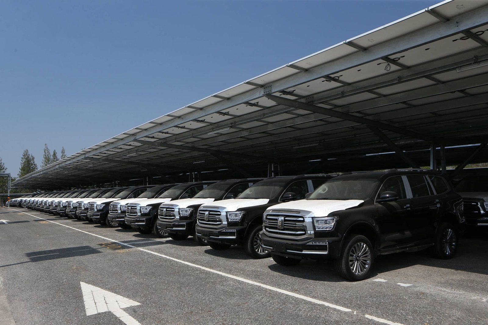 เกรทวอลล์ 5