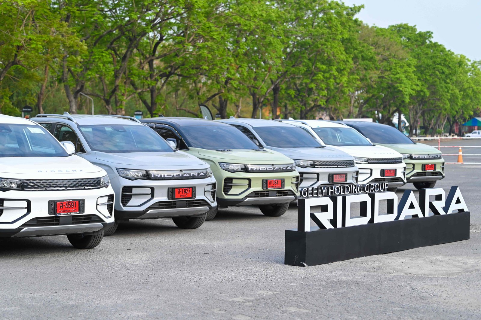 ริดดารา 7