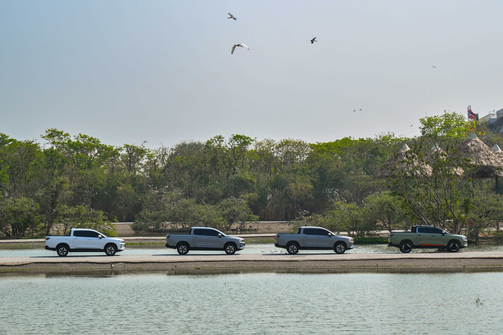 ริดดารา 8