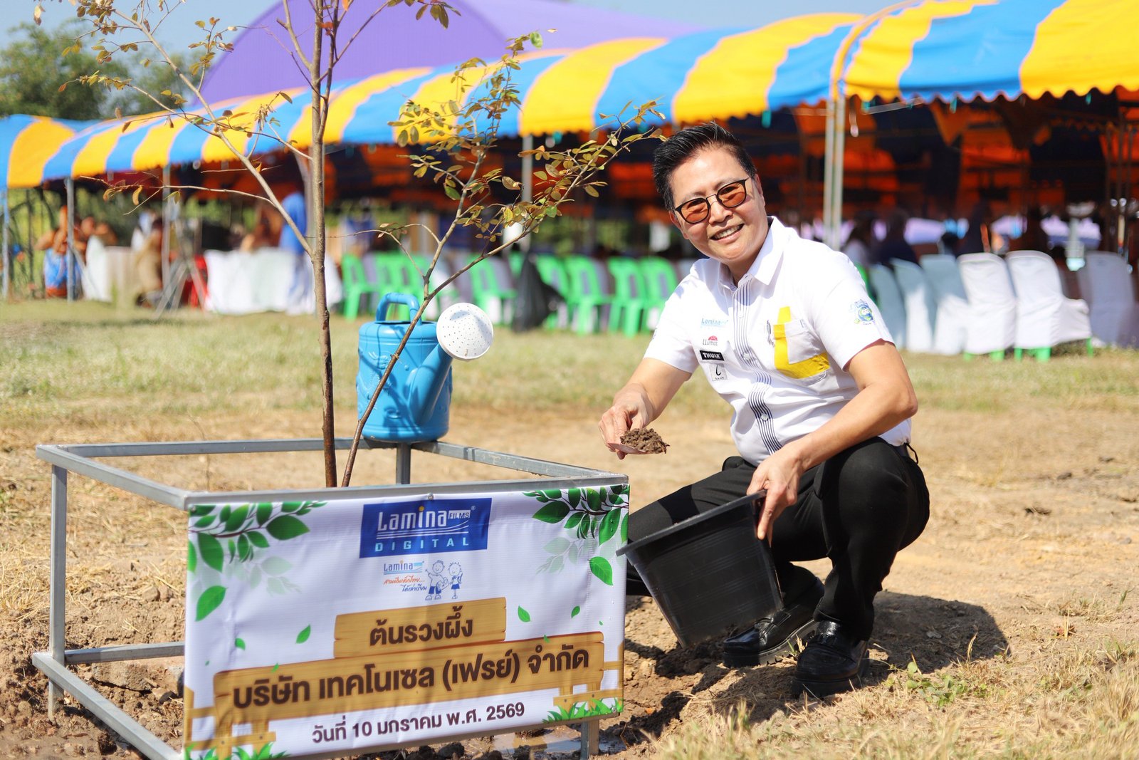 ลามิน่า 6