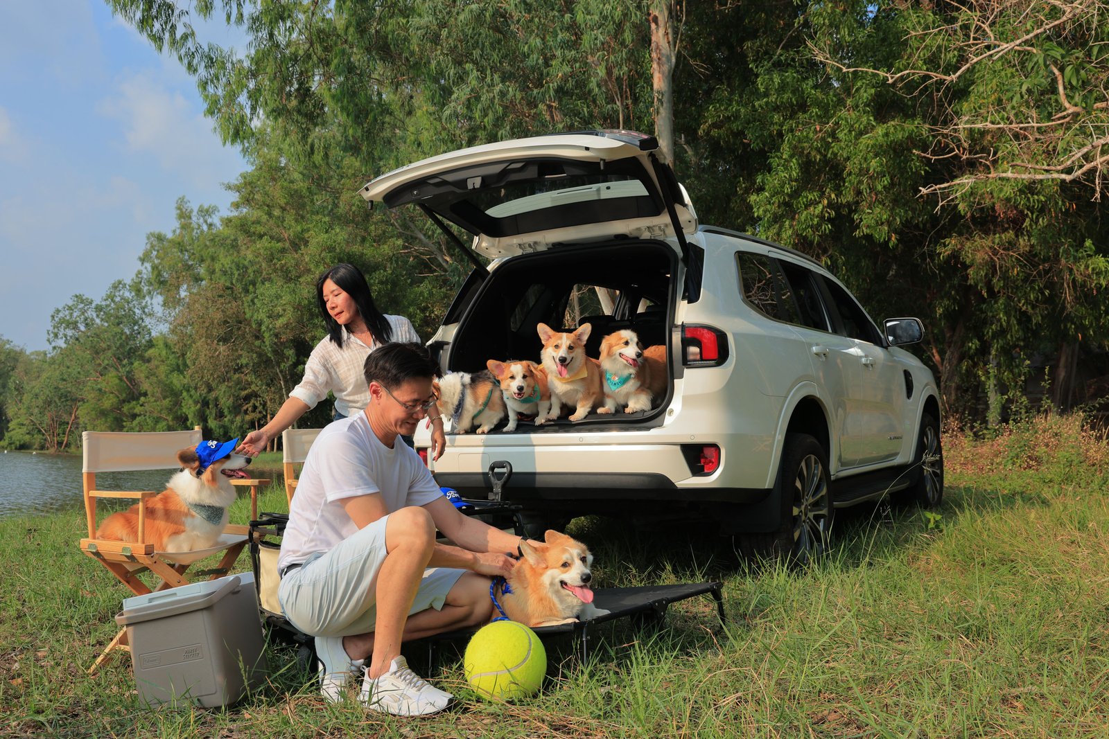 Ford Love Your Pet Day