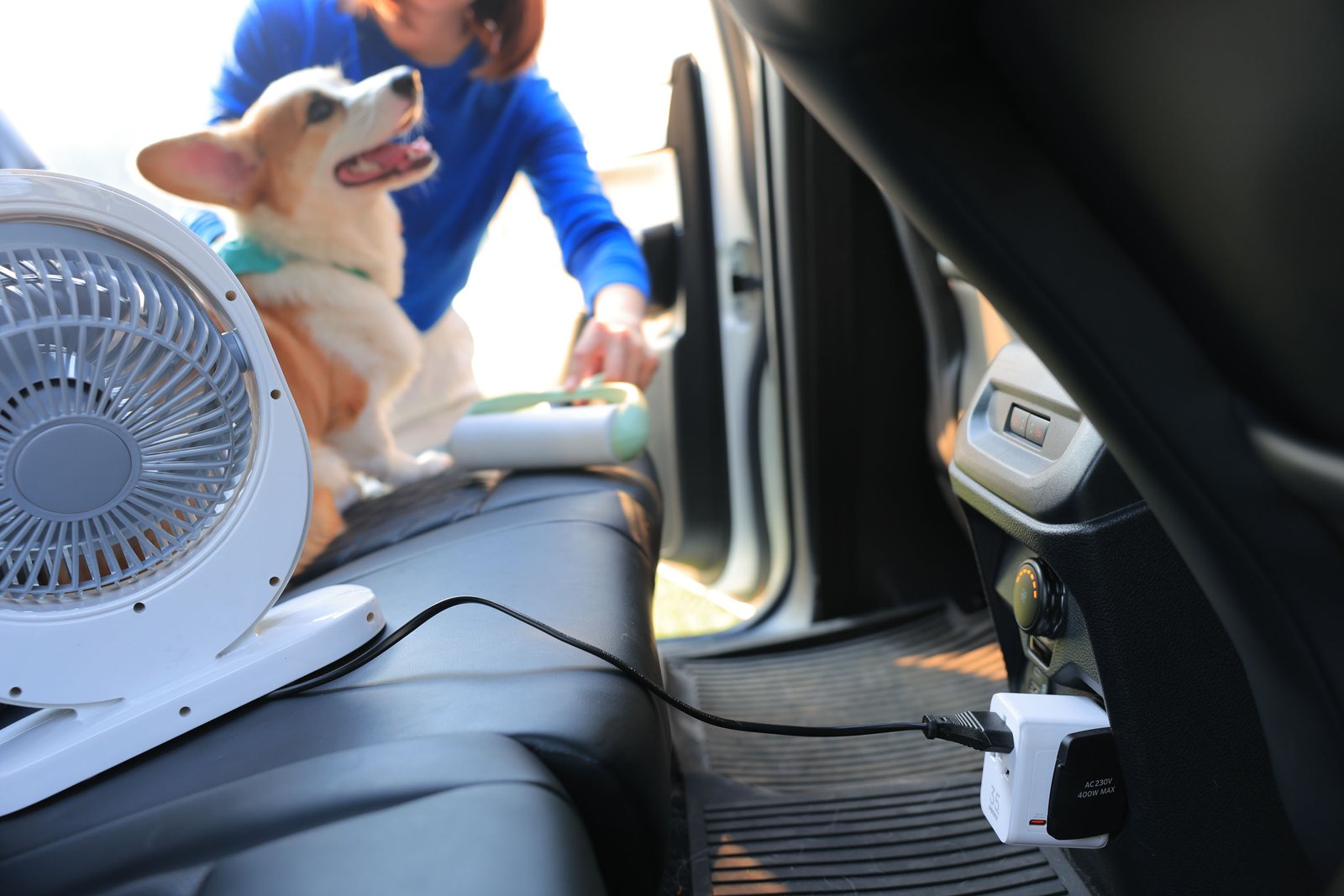 Ford Love Your Pet Day 4