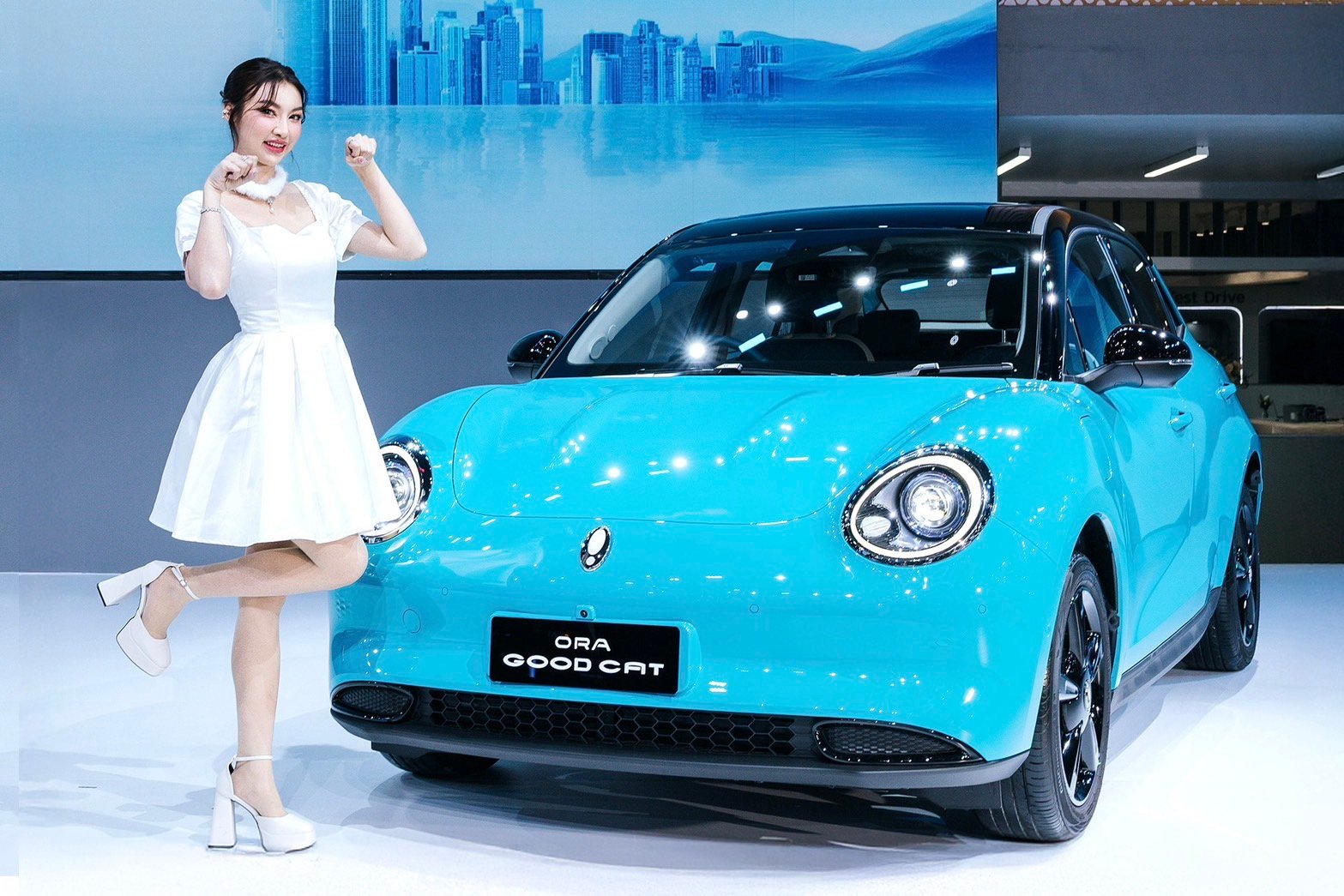 เกรทวอลล์ มอเตอร ื 4