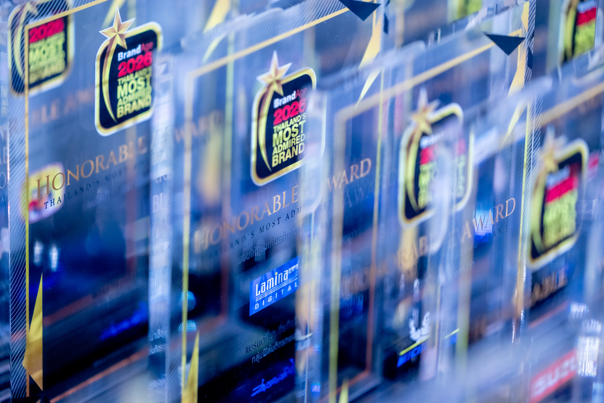 ลามิน่า 7