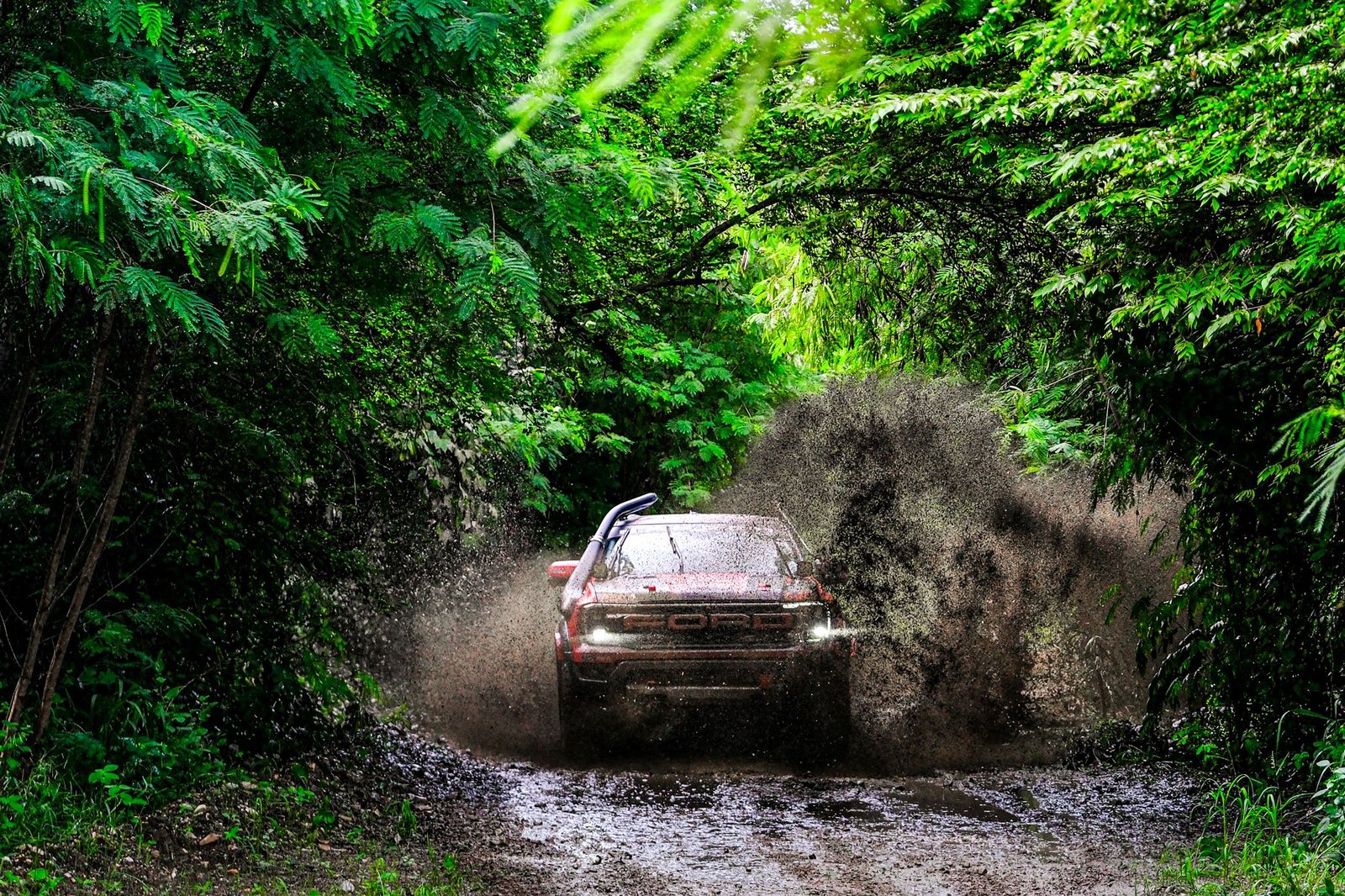Ford 6