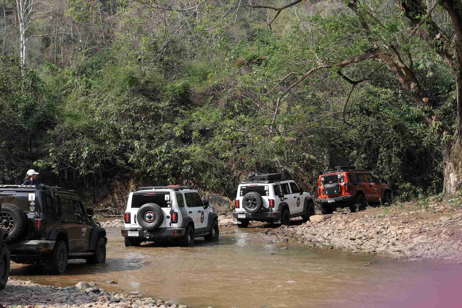 GWM 2