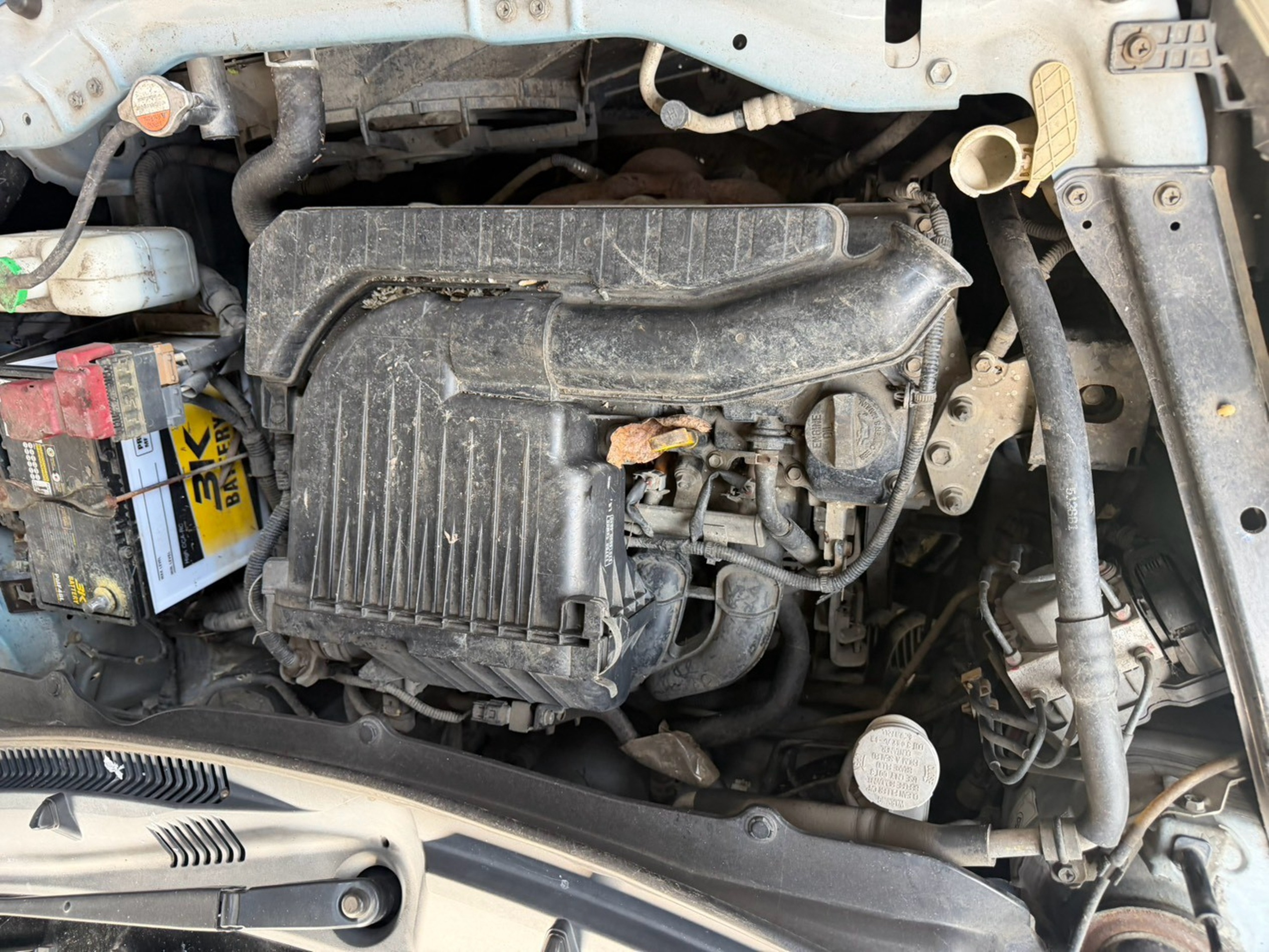 Suzuki 5
